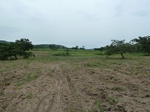 18612P1000449.JPG