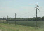 2024-06-17_22-14-41_BA201018-07CB-42C9-AE22-76879C228CC3_1_201_a.jpeg