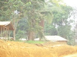 48287CIMG4624.JPG