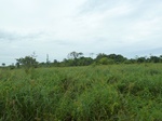 55111Berau (428).JPG