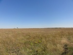 24715DSC01139.JPG