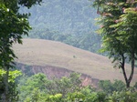 17538100_2799.JPG