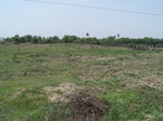 17326100_2012.JPG