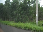 33327IMG_5663.JPG