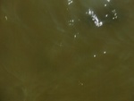 58140CIMG2462.JPG