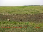38924CIMG4822.gps.jpg
