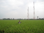 14443IMG_4796.JPG
