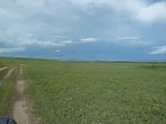 38136P1080061.JPG