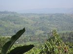 13966IMG_4261.JPG