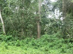 47275CIMG3612.JPG