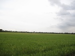 14417IMG_4763.JPG