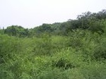 899R0015404_small.jpg