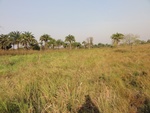 26651DSC00574.JPG