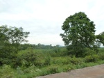 18396P1000232.JPG