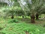 45759CIMG2844.JPG