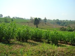 9178DSC03706.JPG