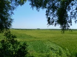 54530SAM_0328.JPG