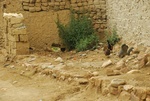 27534DSC_7920.JPG