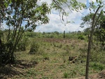 29548IMG_5149.JPG