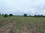 18280P1000116.JPG