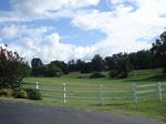 32318p56_s.jpg