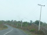 51560P1000732.JPG