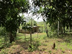 29572IMG_5169.JPG