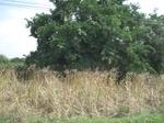 34355IMG_5268.JPG