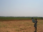 9274gt025a-cropland-rainfed-mixed-crops.gif