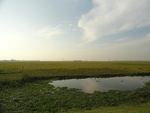 26106DSC01133.JPG