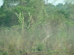 51508P1000667.JPG