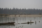 4533IMG_8921.JPG