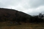 28367P1010378-1.JPG