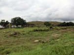 55827CIMG6462.JPG