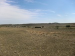 37361CIMG1163.JPG