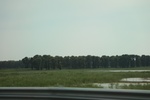 2024-08-05_15-52-04_007545A0-39A6-42BF-AC80-610BD830B67D.jpeg
