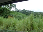 25690P1020107.JPG