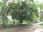 31997IMG_5554.JPG