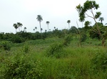 18628P1000466.JPG