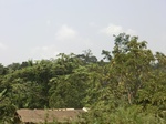 49057CIMG5394.JPG