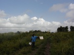 12348GT244_seasonally_flooded_lowland.JPG