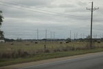 2022-11-17_21-54-43_2C50C02E-F338-4005-8EB8-684C487DD33B.jpeg