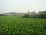 9199DSC01058.JPG
