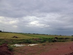 56072CIMG6761.JPG