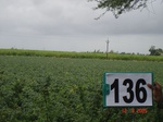 68720136d-irrigated-supplemental-major-lift-irrigation.jpg