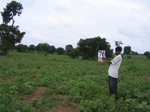 1178970-cropland-proposed-cleared-6months-back-a.gif