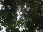 46831DSC02170.JPG