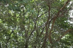 2024-08-05_14-50-00_B80A90A0-0B44-4907-99C9-72C4A10D3C6A.jpeg