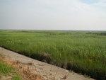 54331DSCN1605.JPG