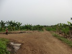50796CIMG1425.JPG